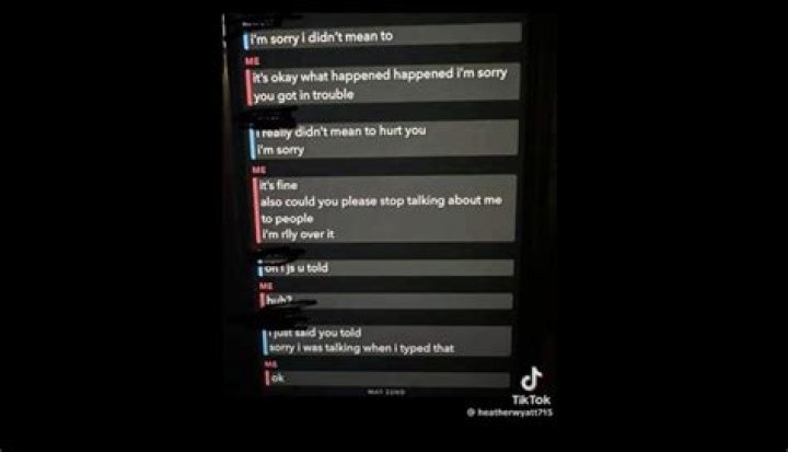 Understanding The Impact Of Aubreigh Wyatt Bully Texts