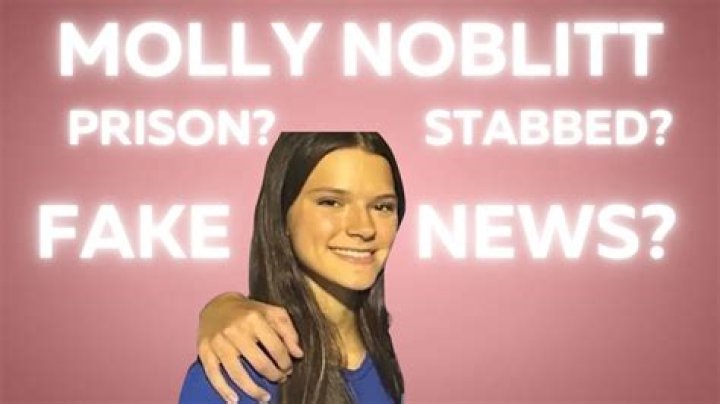 Unveiling Molly Noblit: An Enigma Demystified